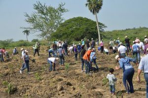 botanicosantiagosiembra