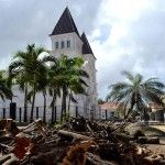 Alcaldía Santiago tala árboles históricos sin autorización de Medio Ambiente.