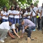 Medio Ambiente conmemora el Día del Árbol con distintas actividades