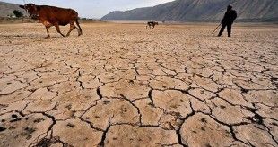 cambio climático