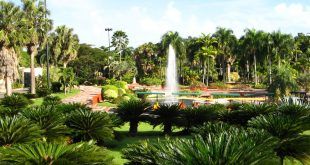 Jardin Botanico Nacional